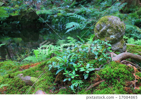 Sanzenin Rabu Jizo 17084865