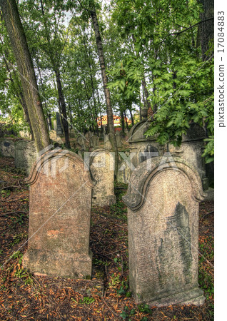 Jewish Cemetery 17084883