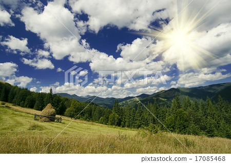 Carpathian mountain landscape Carpathian mountain landscape 17085468