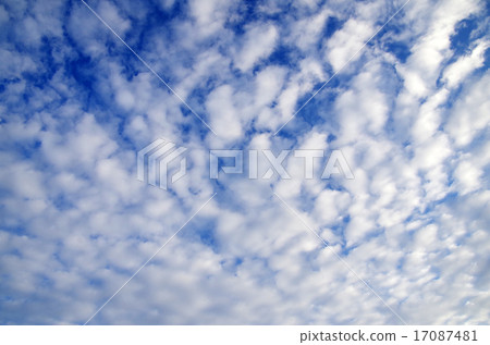 雲秤 17087481