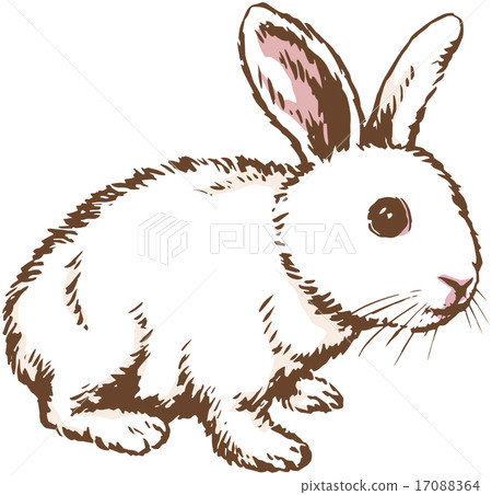 A rabbit - Stock Illustration [17088364] - PIXTA