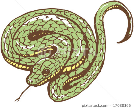 蛇 蛇 17088366