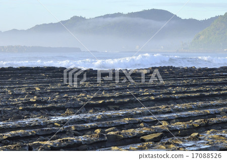 Qingdao Coast 17088526