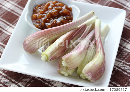 Shallot 17089217