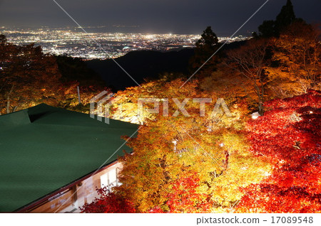 Oyama Akutoshi神社秋葉點亮 Oyama Akutoshi神社秋葉點亮 17089548