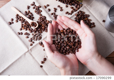 Coffee beans  17090299