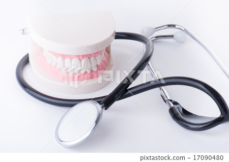 Tooth model 17090480