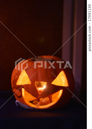 Halloween  17091199