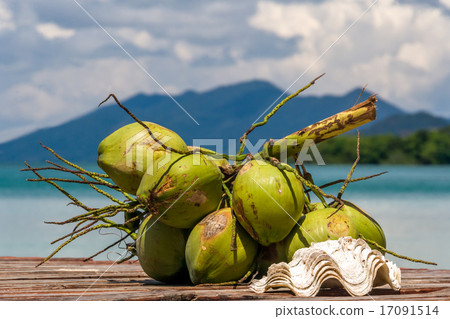 frsh coconut with shell on stop-ridge 17091514
