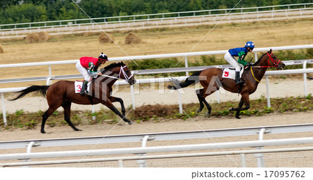 Horse racing. 17095762