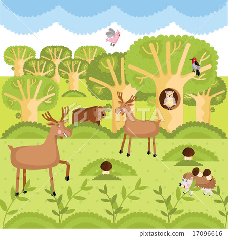 Vector wild animals on the forest. 17096616
