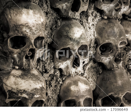 Wall full of skulls and bones 17096649