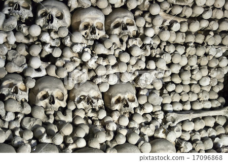Skulls and bones 17096868
