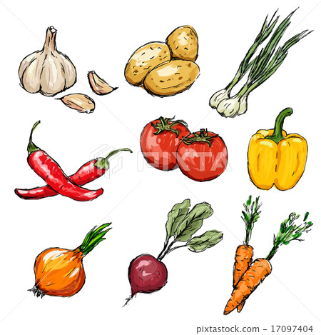 Vegetables set. Vector illustration Vegetables set. Vector illustration 17097404