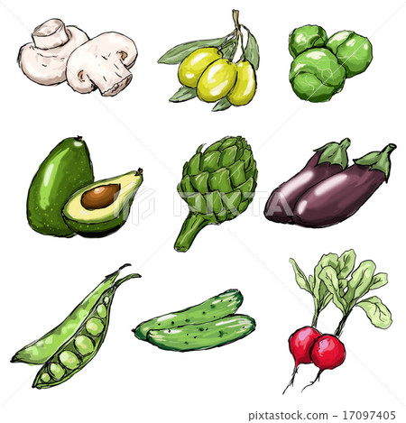 Vegetables set. Vector illustration Vegetables set. Vector illustration 17097405