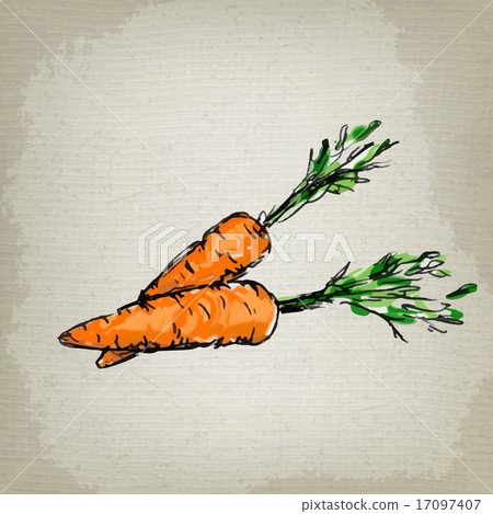 Fresh carrots. Vector illustration Fresh carrots. Vector illustration 17097407