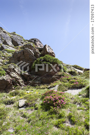 Andorra Andorra 17097413