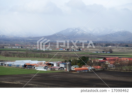 Snowy mountains and plains Snowy mountains and plains 17098462