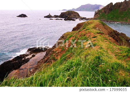 利尻•Rebunflower花園 17099035