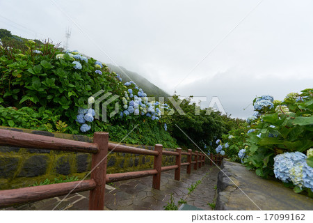 Stairway of Ryuusorizaki National highway, lighthouse side (National Route 339) Stairway of Ryuusorizaki National highway, lighthouse side (National Route 339) 17099162