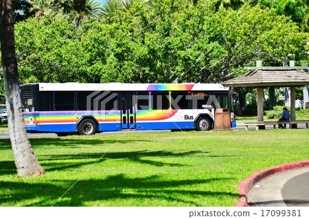 Holidays in Hawaii 17099381