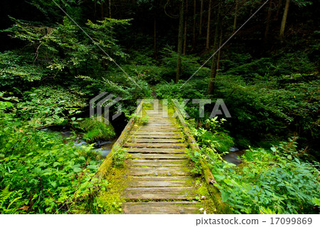 The promenade of Otaki of Tokyo Hinbara Village 17099869