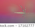 Water droplets 17102777