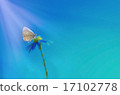 Butterflies and flowers 17102778