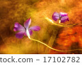 Ghost flowers 17102782