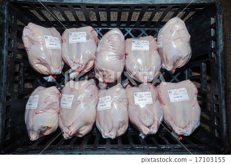 Poultry Abattoir Packed Chickens 17103155
