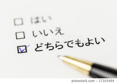 questionnaire 17103484