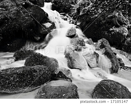 Cascade on small mountain stream, water is running 17105147