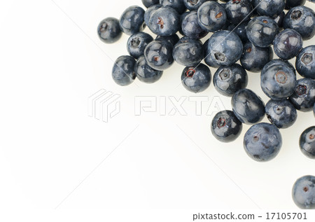 White Back Blueberries 17105701