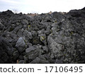 Volcanic rocks of Izu Oshima 17106495