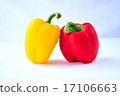辣椒 17106663
