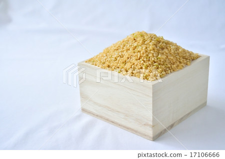 糙米 糙米 17106666