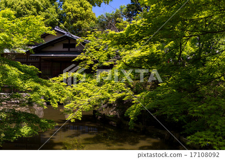 Umenomiya Taisha Umenomiya Taisha 17108092