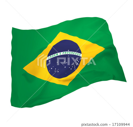 Flower Brazilian flag _ white background Flower Brazilian flag _ white background 17109944