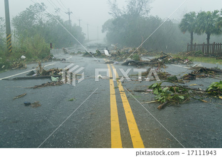 Debri in road during typhoon Debri in road during typhoon 17111943