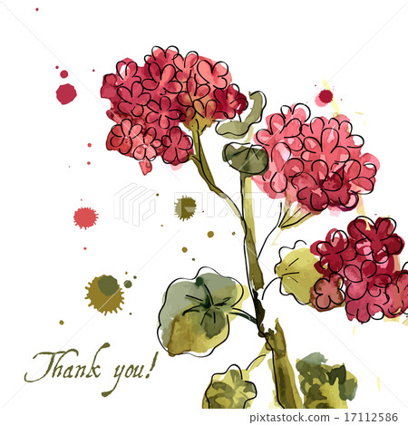 Watercolor blooming geranium  17112586