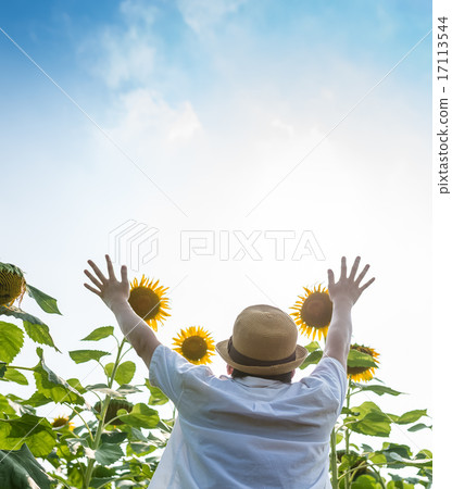 Sunflowers and men 17113544