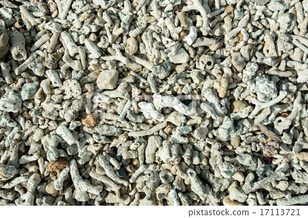 coral natural texture 17113721