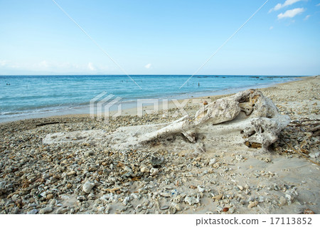 dream beach, Bali Indonesia, Nusa Penida island dream beach, Bali Indonesia, Nusa Penida island 17113852