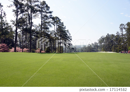 American Golf Course 17114582