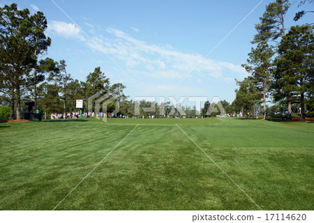 American Golf Course 17114620