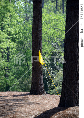 American Golf Course 17114621