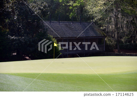 American Golf Course American Golf Course 17114625