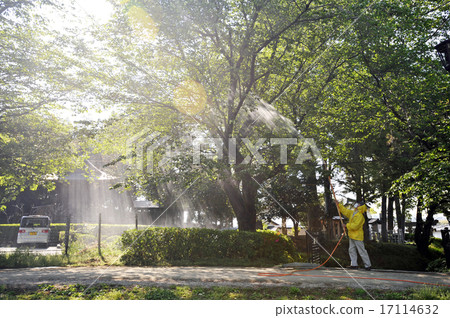 公園消毒 公園消毒 17114632