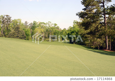 美國高爾夫球場 美國高爾夫球場 17114868