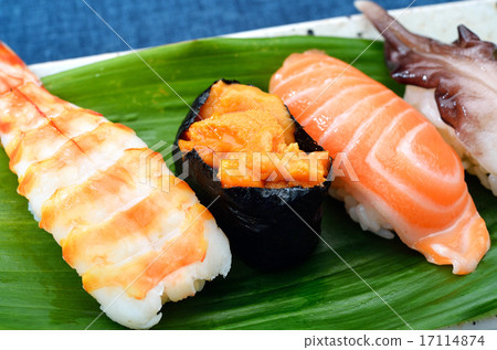 注意）沒有確認neta的100％名稱匹配。豪華壽司（少數壽司）地面魚樣式，圖像。 17114874